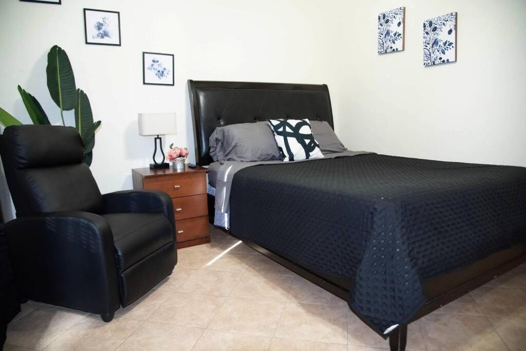 1 Min To University Utrgv 2Bd 2Bt Town Suite Edinburg Exterior foto